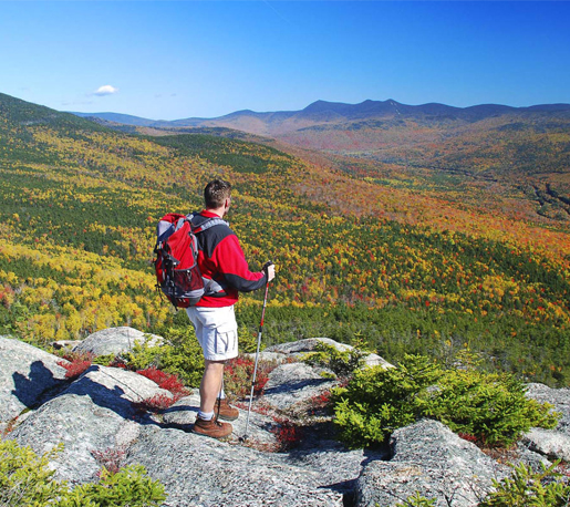 Homepage Third Row 1