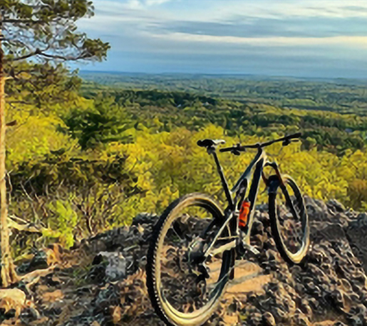 Homepage Third Row 2